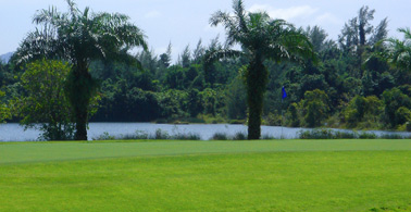 1457687617_LC1.jpg