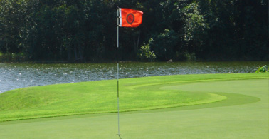 1457687622_LC2.jpg