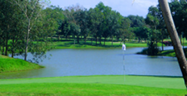 1457687680_LC11.jpg